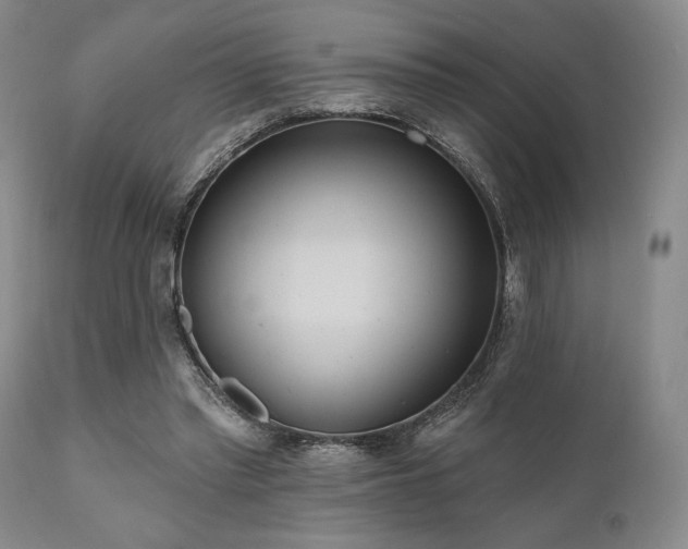 X0000111020397200906191657