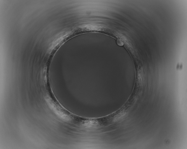 X0000111020398200906191657