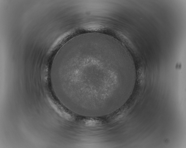 X0000111020400200906191657
