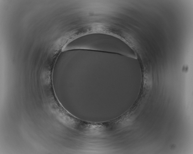 X0000111020401200906191657
