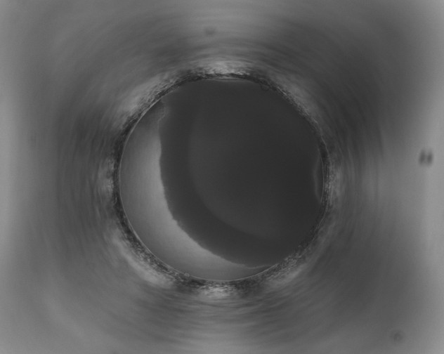 X0000111020402200906191657