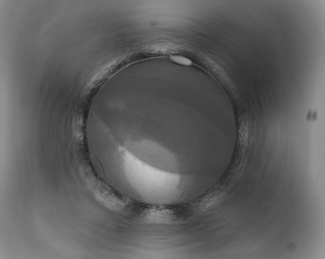 X0000111020403200906191657