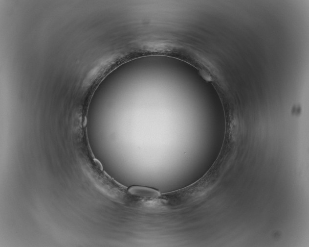 X0000111020407200906191657