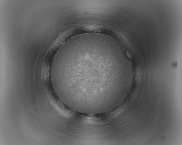 X0000111020408200906191657