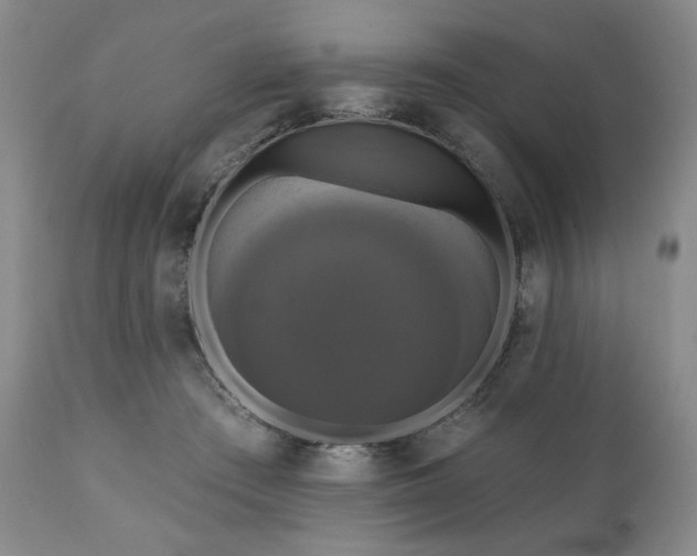 X0000111020409200906191657
