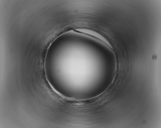 X0000111020411200906191657