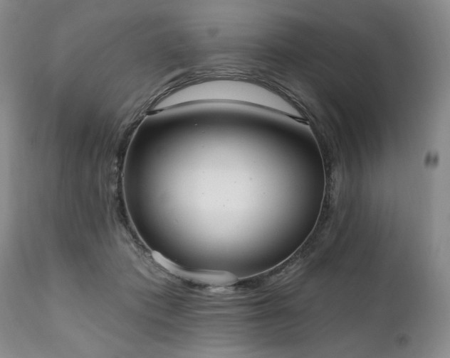 X0000111020413200906191657