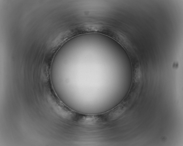 X0000111020414200906191657