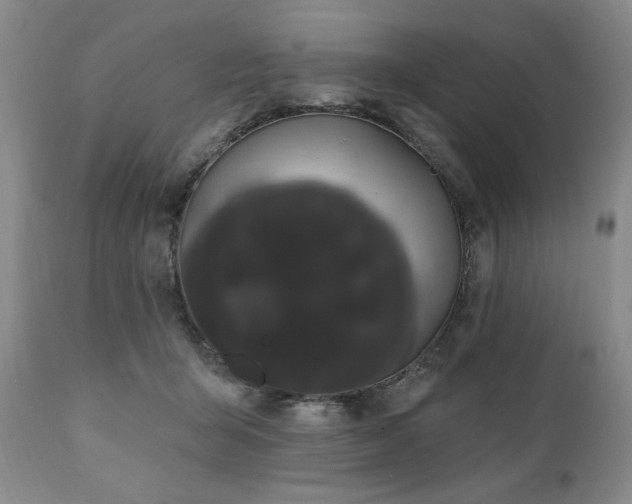 X0000111020415200906191657