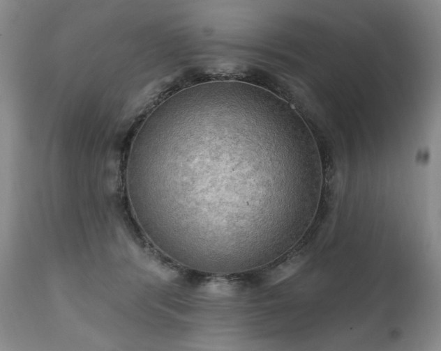 X0000111020416200906191657