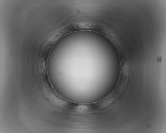 X0000111020418200906191657