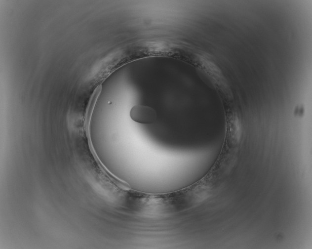 X0000111020419200906191657