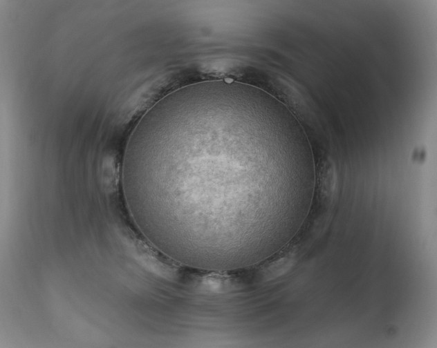 X0000111020420200906191657