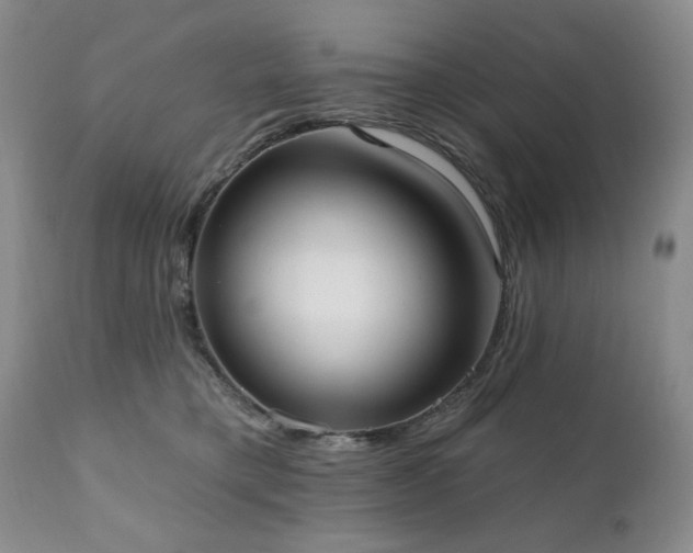 X0000111020421200906191657