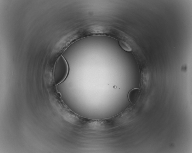 X0000111020422200906191657