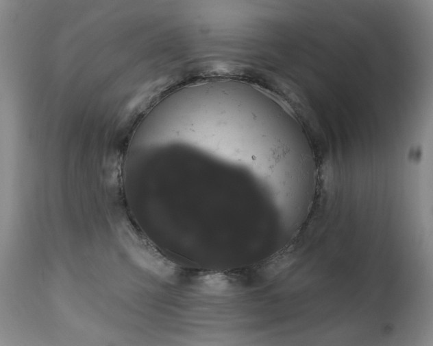 X0000111020423200906191657