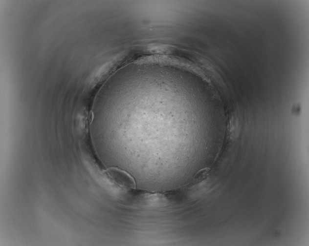 X0000111020424200906191657
