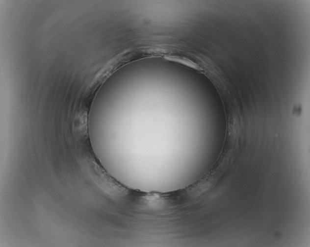 X0000111020425200906191657
