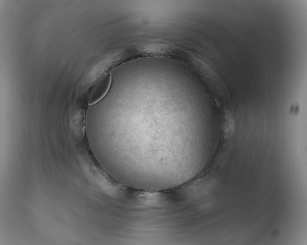 X0000111020428200906191657