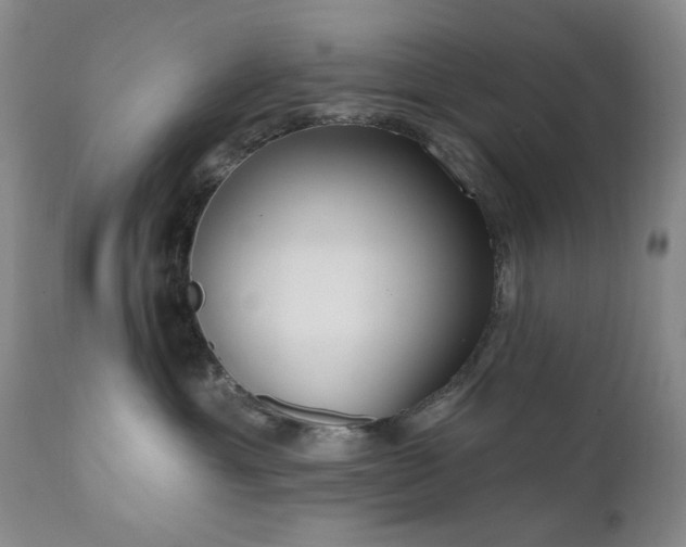 X0000111020429200906191657