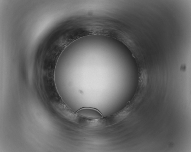 X0000111020430200906191657