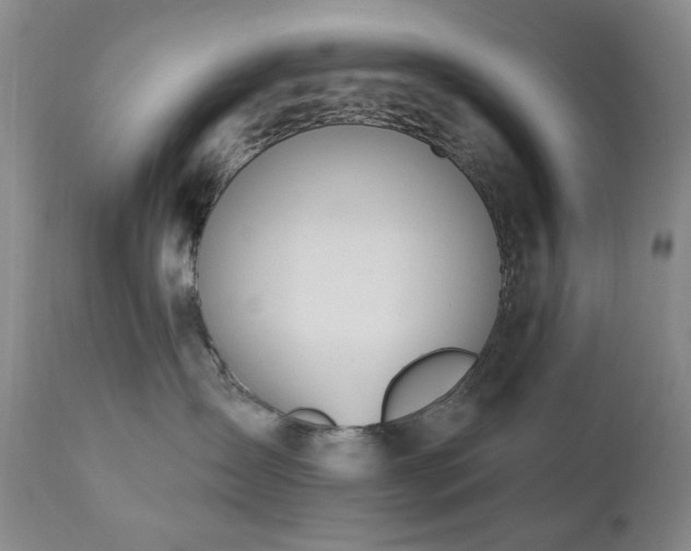 X0000111020431200906191657