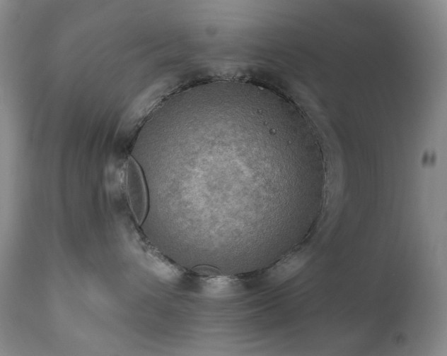 X0000111020432200906191657