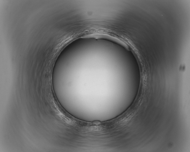 X0000111020433200906191656