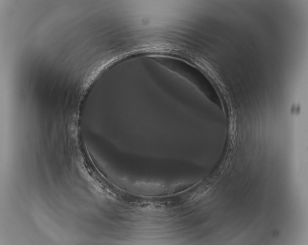 X0000111020434200906191656