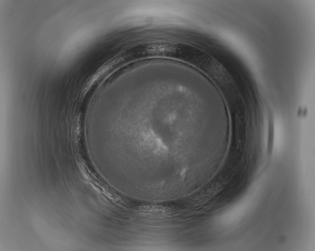 X0000111020435200906191656