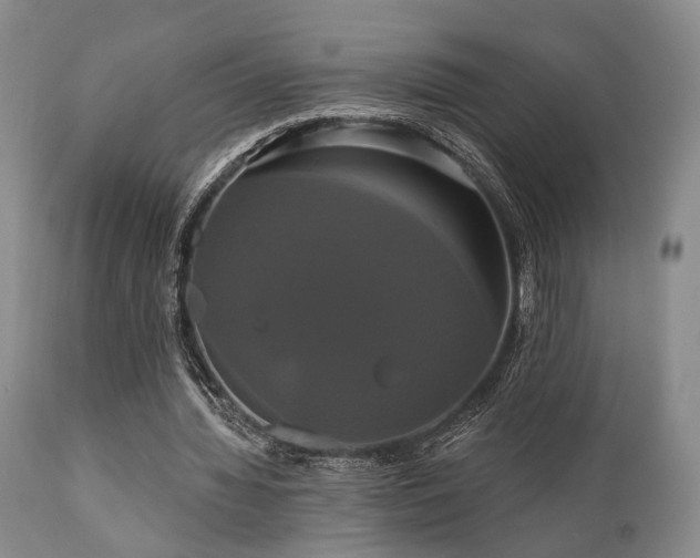 X0000111020436200906191656