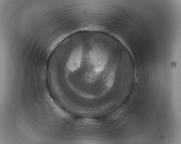 X0000111020437200906191656