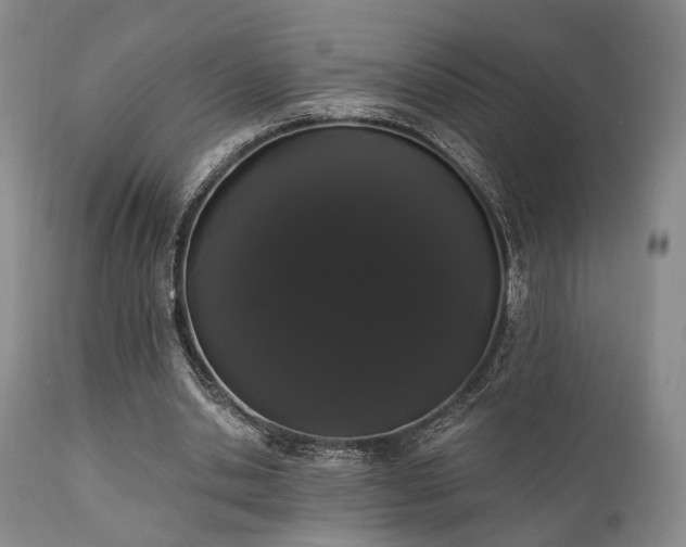 X0000111020438200906191656