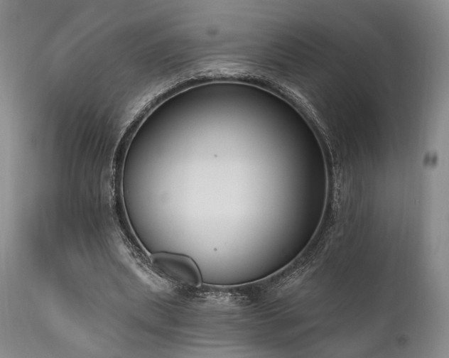 X0000111020439200906191656