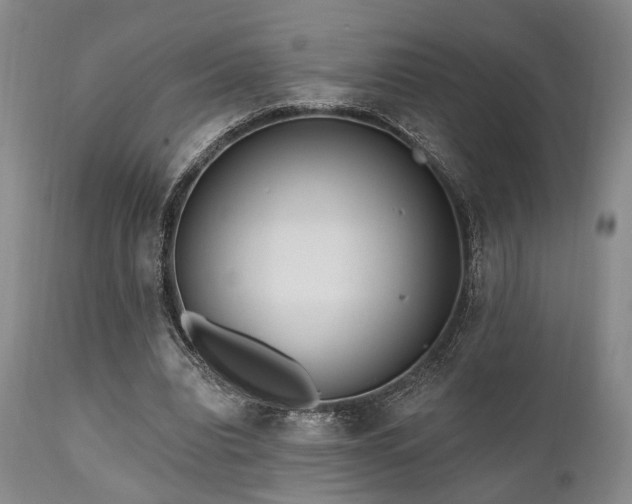 X0000111020440200906191656