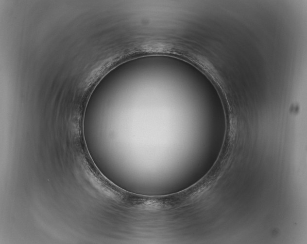 X0000111020441200906191656