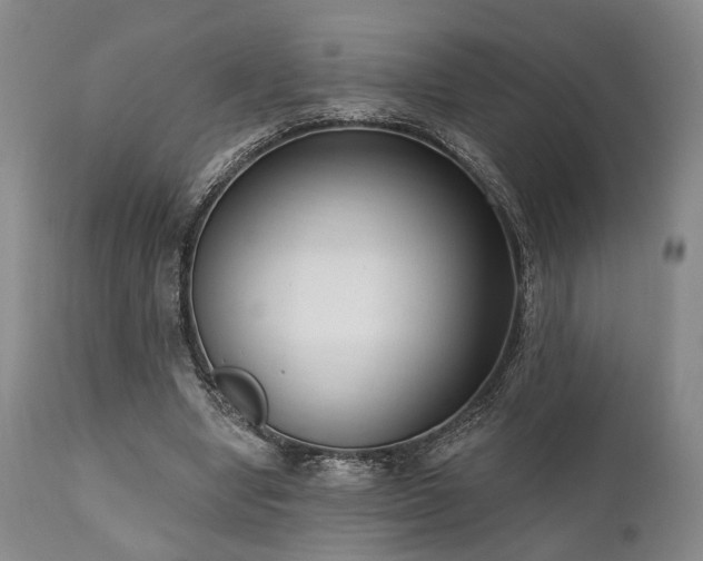 X0000111020442200906191656