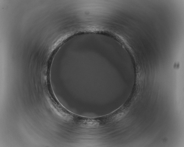 X0000111020443200906191656
