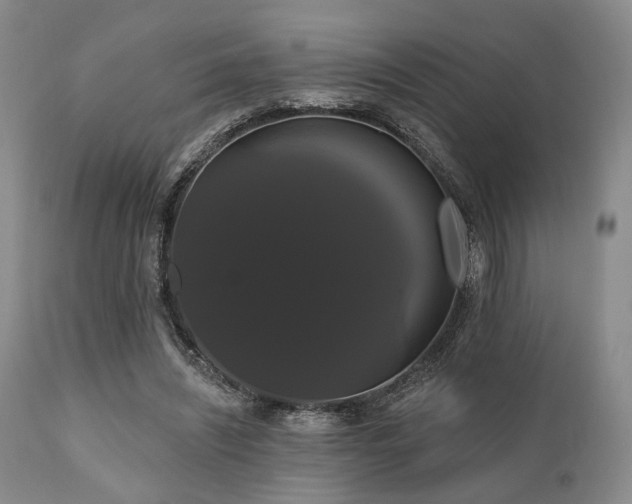 X0000111020444200906191656