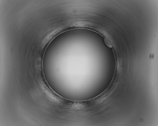 X0000111020445200906191656