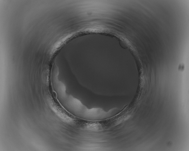 X0000111020446200906191656