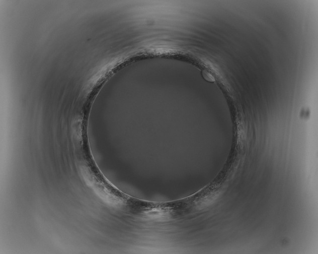 X0000111020447200906191656