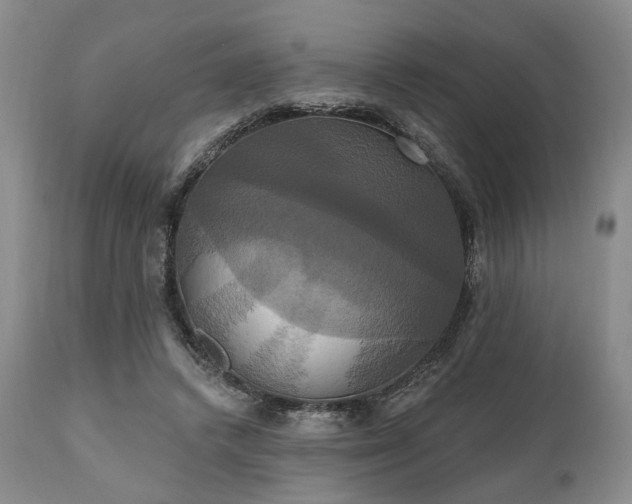 X0000111020448200906191656