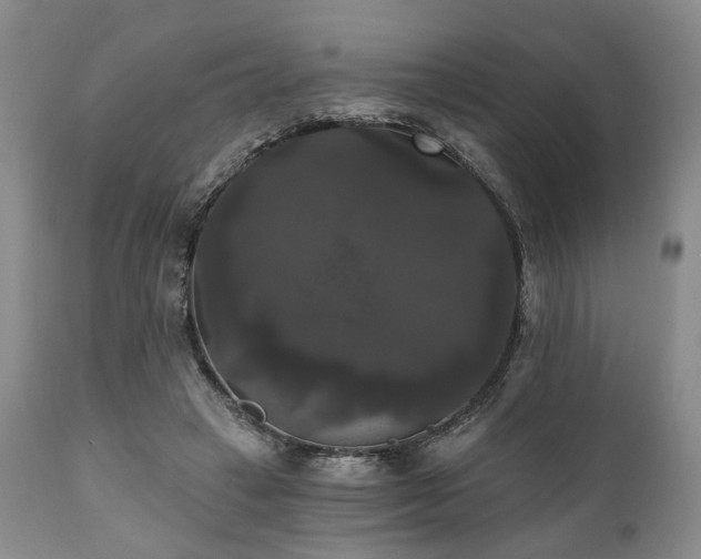 X0000111020449200906191656