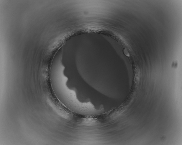 X0000111020451200906191656
