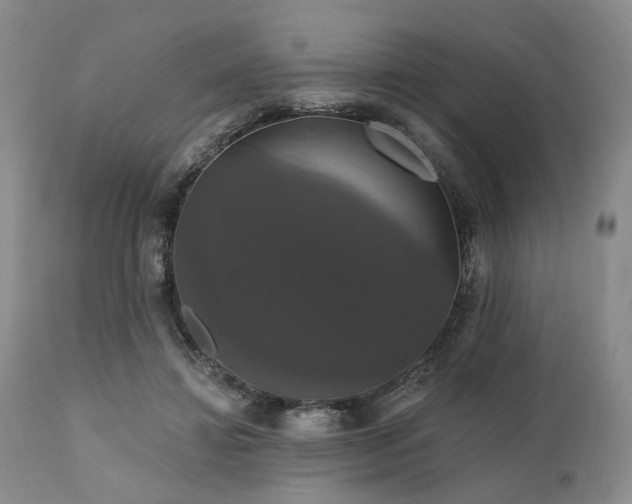 X0000111020452200906191656