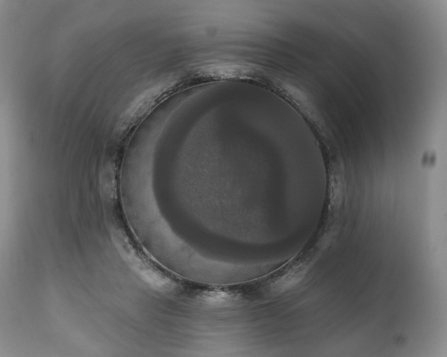 X0000111020453200906191656