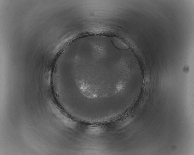 X0000111020454200906191656