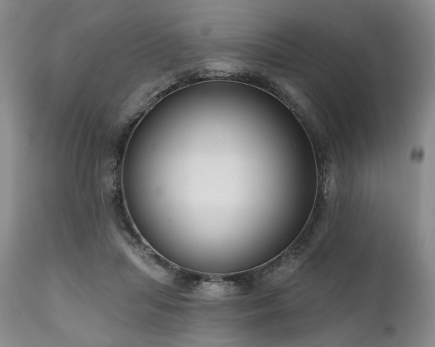 X0000111020455200906191656
