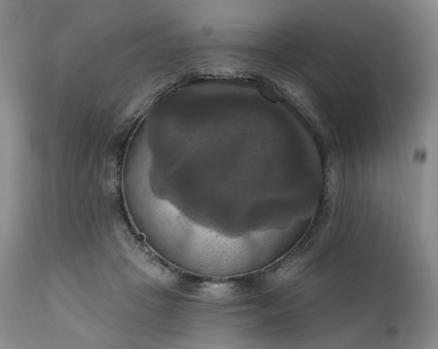 X0000111020457200906191656